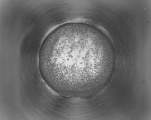 X0000080671420200701050957