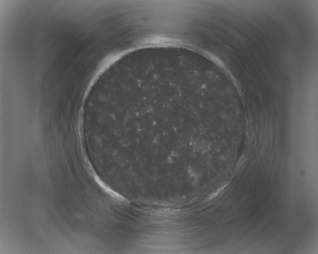 X0000080671421200701050957