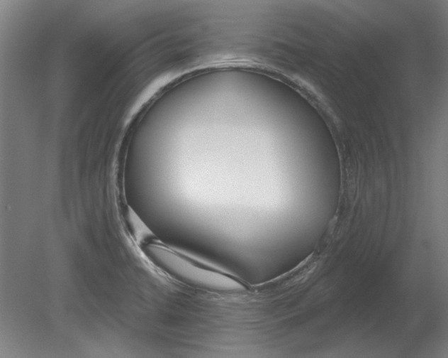 X0000080671422200701050957