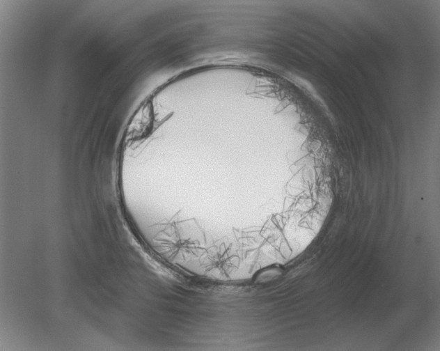 X0000080671424200701050957