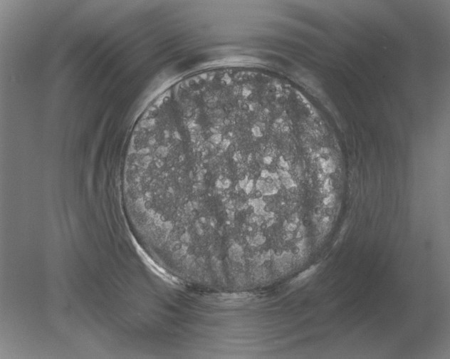 X0000080671425200701050957