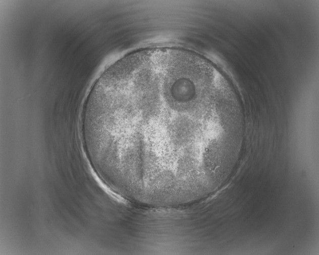 X0000080671429200701050957