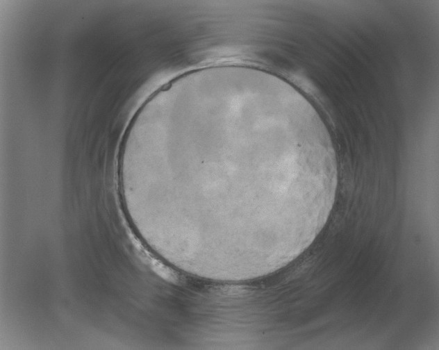 X0000080671431200701050957