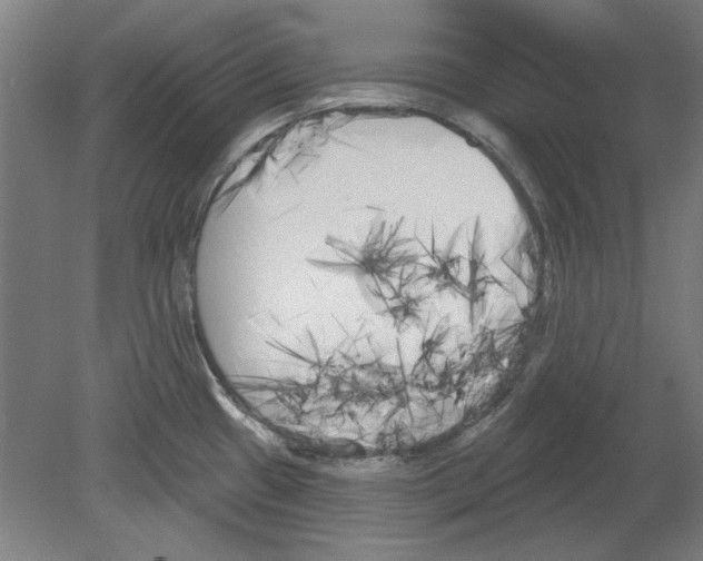 X0000080671433200701050957