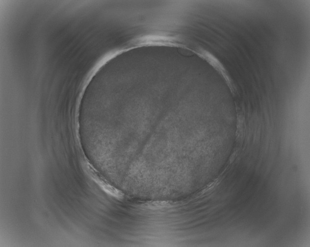 X0000080671435200701050957