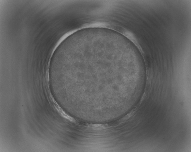 X0000080671436200701050957