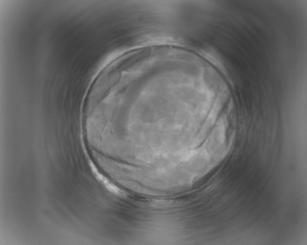 X0000080671439200701050957