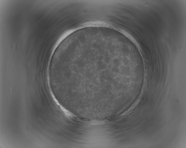 X0000080671440200701050957