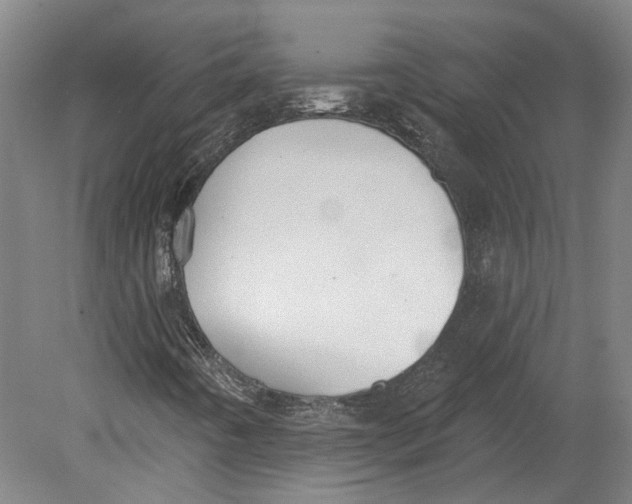 X0000080671442200701050956