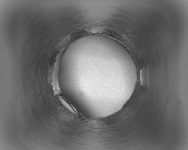 X0000080671443200701050956