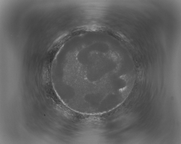 X0000080671446200701050956