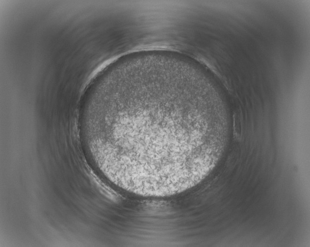 X0000080671452200701050956