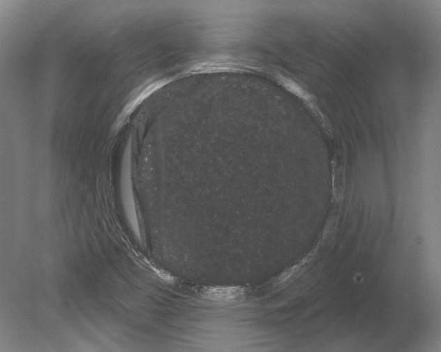 X0000080671453200701050956