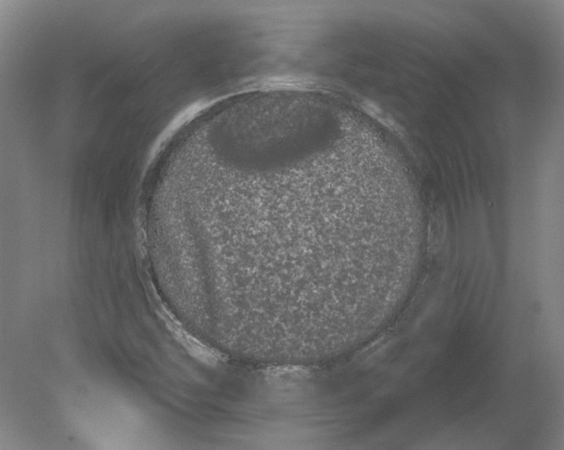 X0000080671454200701050956