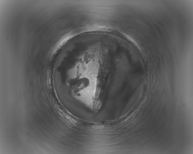 X0000080671455200701050956