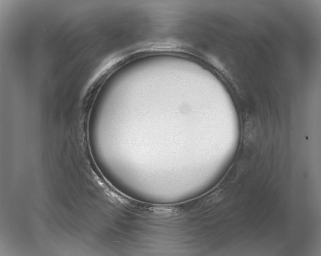 X0000080671456200701050956