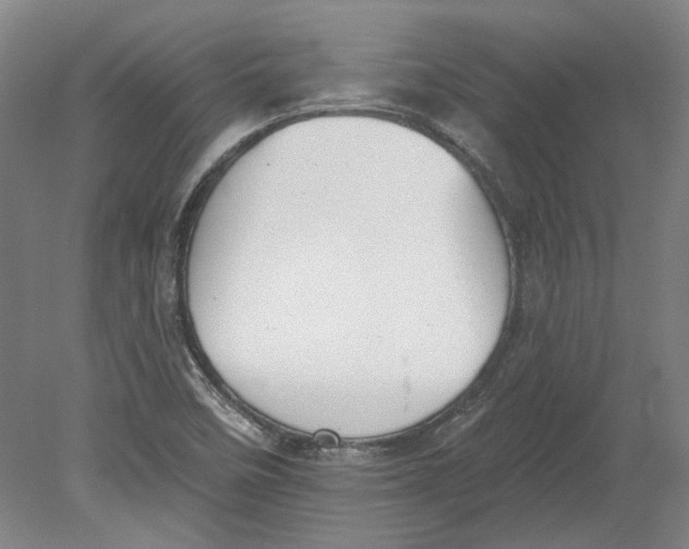 X0000080671458200701050956