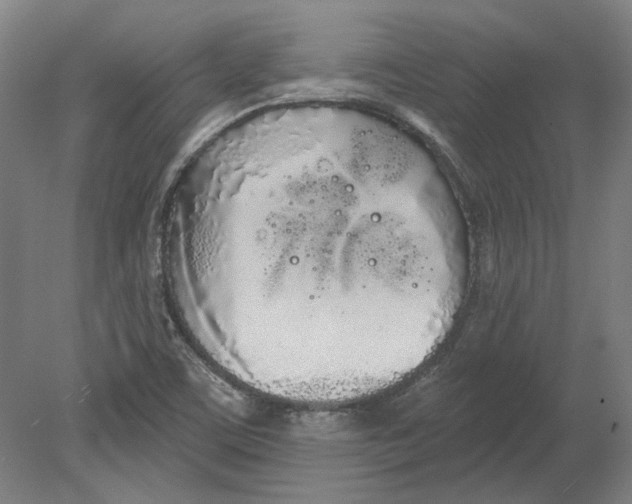 X0000080671459200701050956