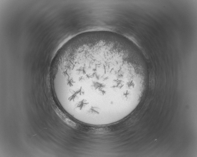 X0000080671460200701050956