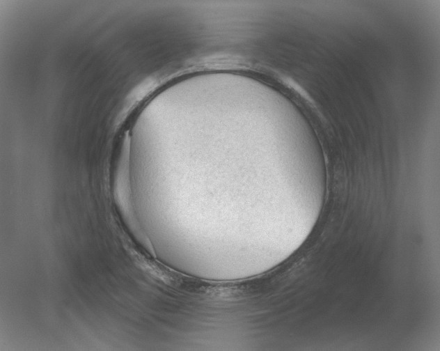 X0000080671461200701050956