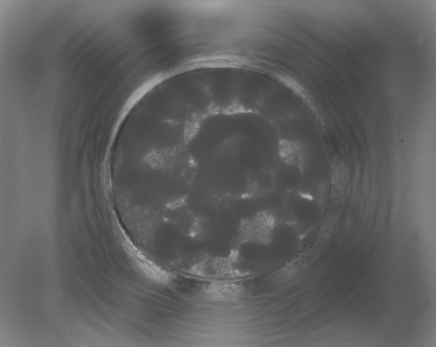 X0000080671466200701050956