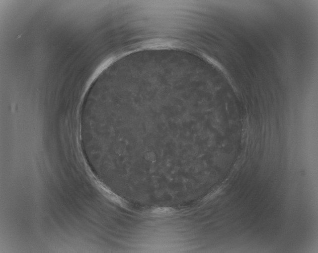 X0000080671467200701050956