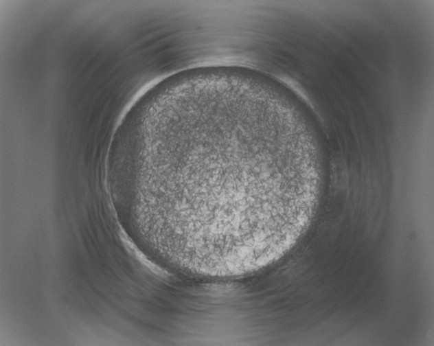 X0000080671468200701050956