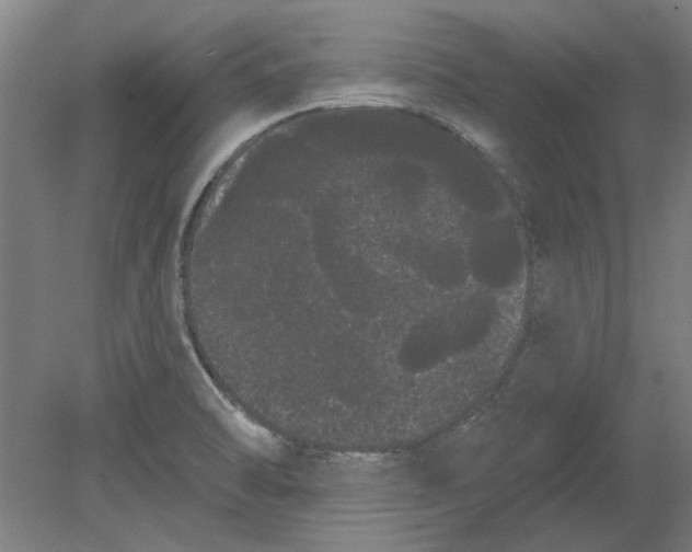 X0000080671470200701050956