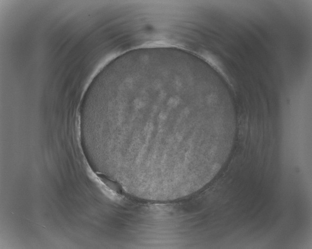 X0000080671476200701050956