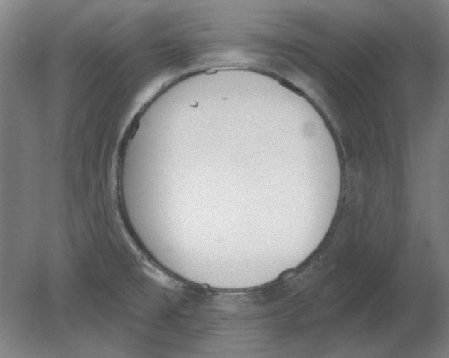 X0000080671477200701050956