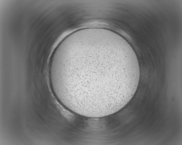 X0000080671478200701050956