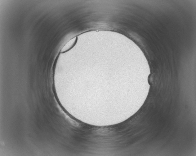 X0000080671479200701050955