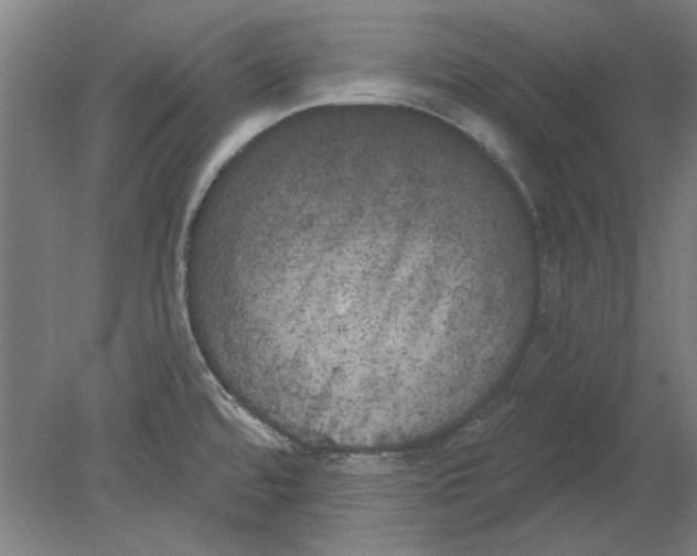 X0000080671480200701050955