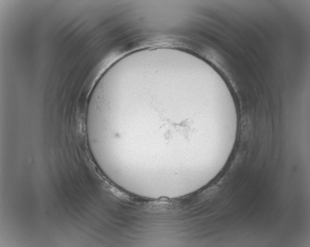 X0000080671481200701050955