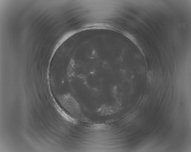 X0000080671482200701050955