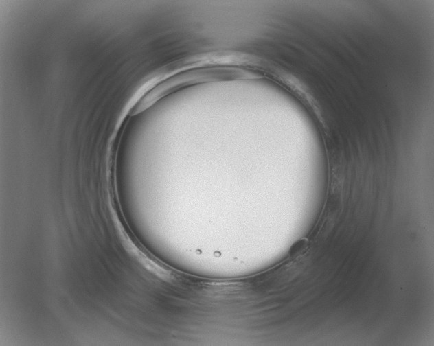 X0000080671483200701050955