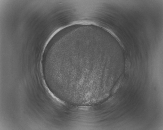 X0000080671484200701050955