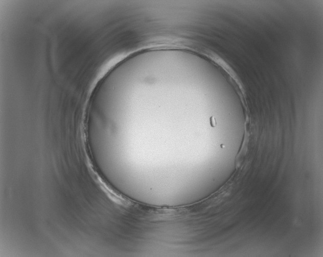 X0000080671485200701050955