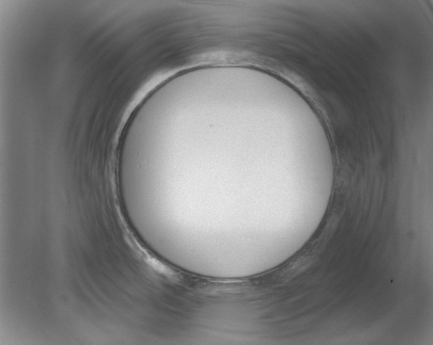 X0000080671486200701050955