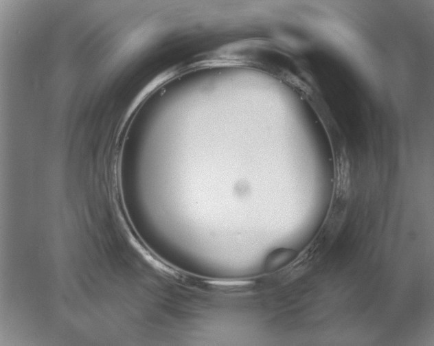 X0000080671487200701050955