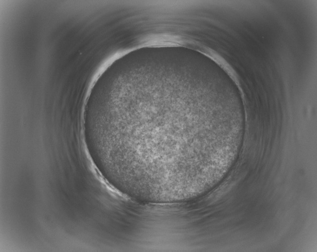 X0000080671488200701050955