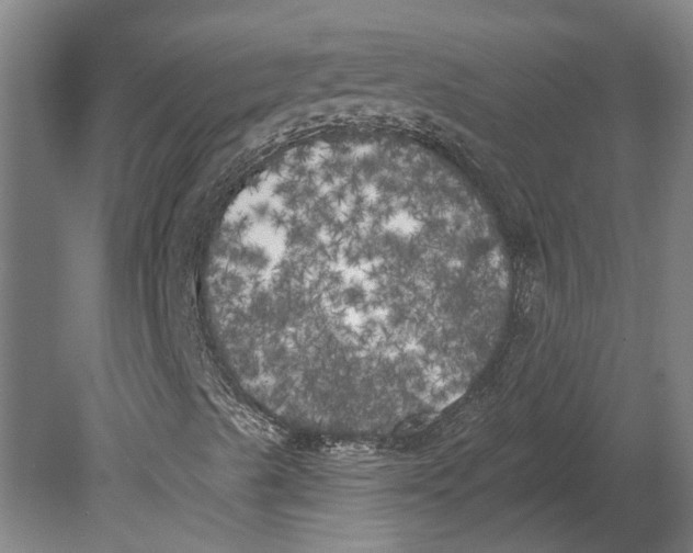 X0000080671489200701050955