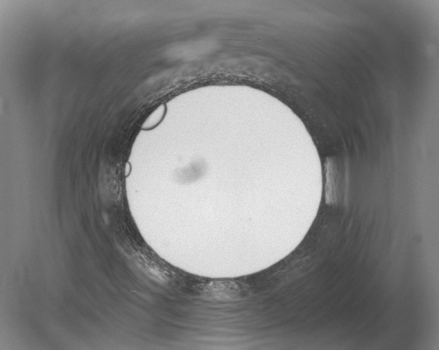 X0000080671491200701050955