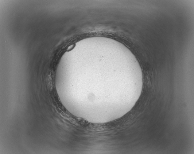 X0000080671493200701050955