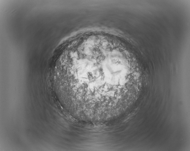 X0000080671494200701050955