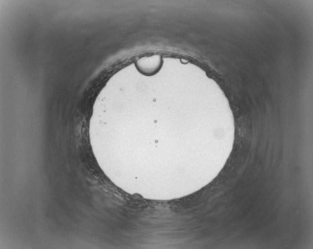 X0000080671495200701050955