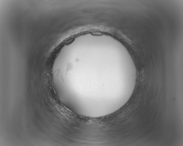 X0000080671496200701050955