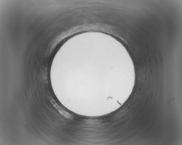 X0000080671499200701050955