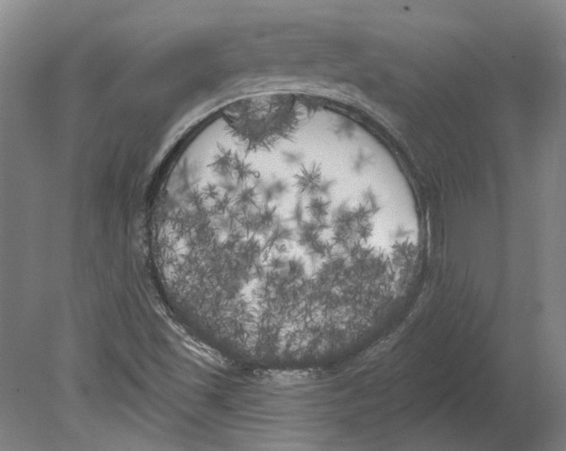 X0000080671501200701050955