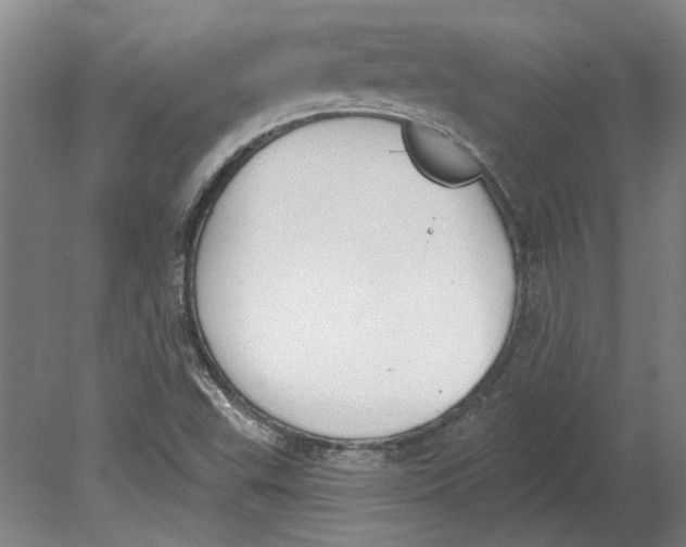 X0000080671503200701050955